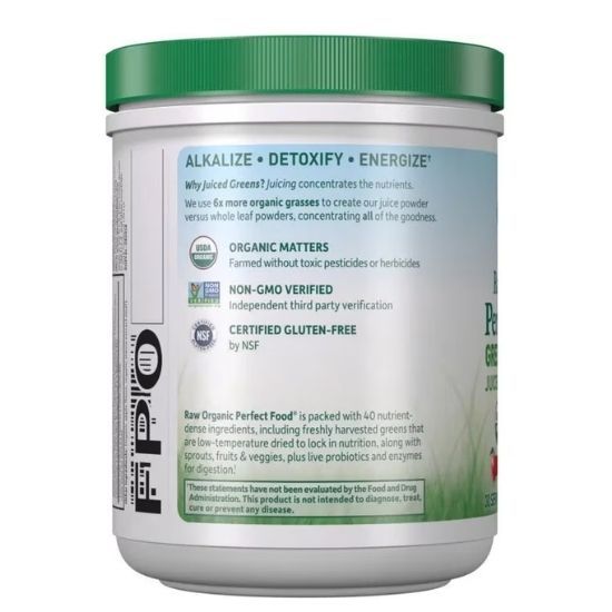 Raw Organic Perfect Food Green Superfood, Apple, 231g, Garden of Life - Vitax.ro