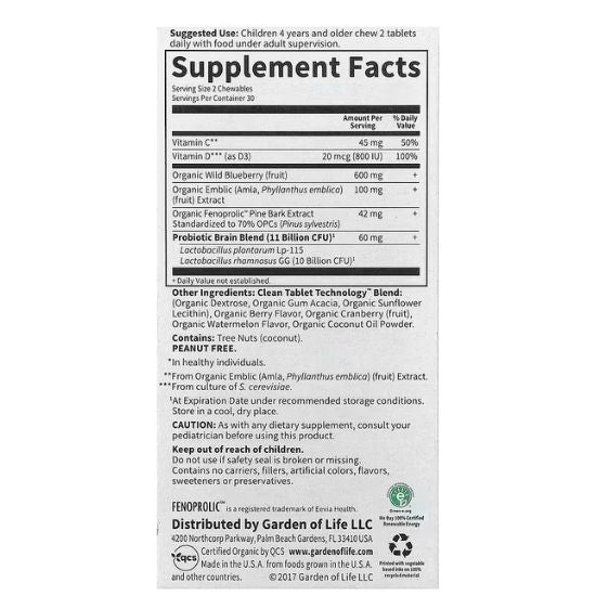 Dr. Formulated Attention & Focus for Kids, Watermelon Berry, 60 chewables, Garden of Life - Vitax.ro