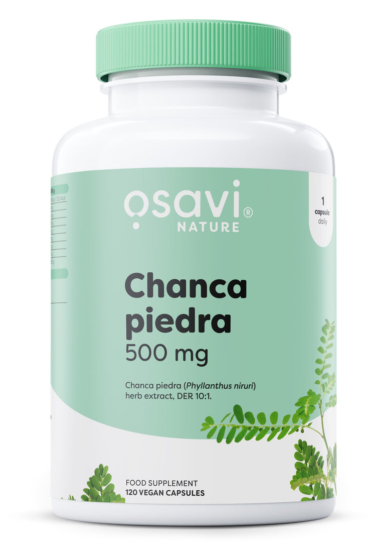 Chanca Piedra, 500mg, 120 vegan caps, Osavi - Vitax.ro